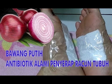 Figurin harga pelangsing ulasan Minsk Diet bzhu yang