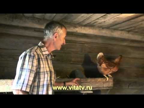 Lechenie prostaty yajcom  360