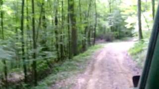 preview picture of video 'Driving Log truck through the woods, short video'