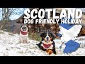 Dog Friendly Holiday to Scotland - Eagle Brae - Jan 2024