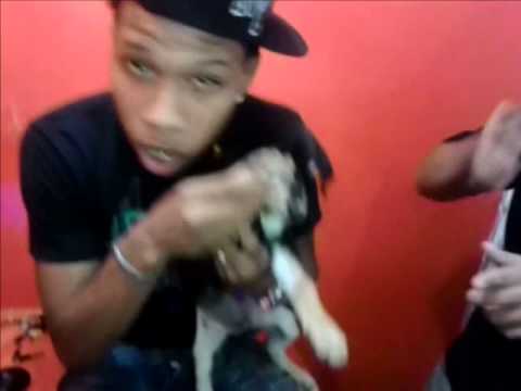 Mark James ft JL Topo - No Se Buscan Na Freestyle en el estudio preview