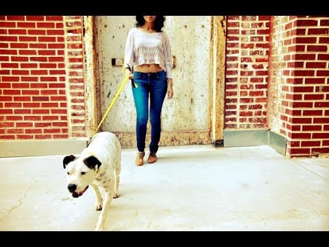 A short film by The Urban Animal Scientist - Atlanta, Georgia