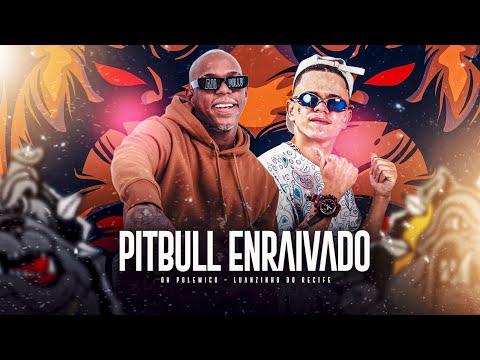 PITBULL ENRAIVADO - LUANZINHO DO RECIFE, OH POLÊMICO - REMIX BREGA FUNK