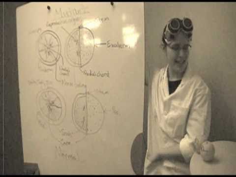 Rise of the Orange: Resilience Trailer