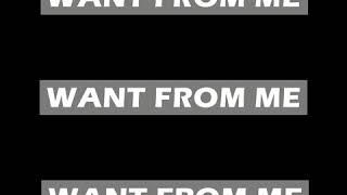 Want from Me Music Video
