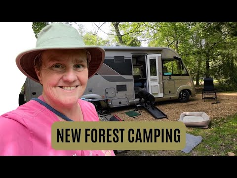 SETTHORNS - A New Forest Campsite. Finally the sunshine arrives