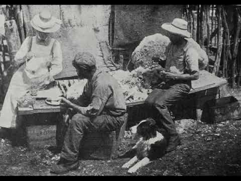 Up the Mangapapa - Mike Harding