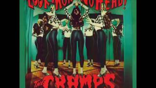 The Cramps - Dames, Booze, Chains And Boots