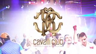 Cavalli Club Dubai Restaurant  Lounge x Dubais 1 Luxury Venue