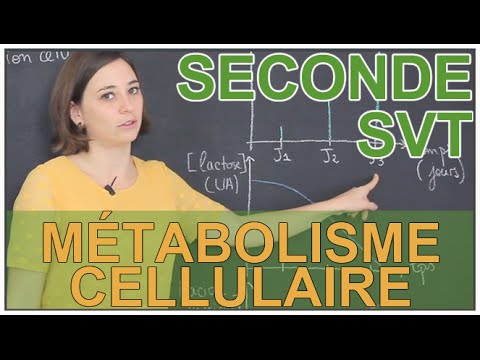 Definition of cellular metabolism - SVT Seconde - Les Bons Profs
