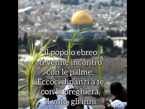 Hymnus ad Christum Regem - inno per la commemorazione dell'ingresso di Gesù in Gerusalemme