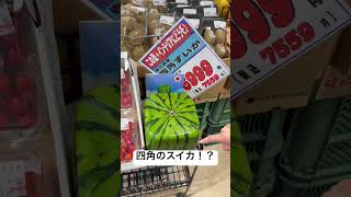 インテリアにも使えるなんてまさに死角無しのスイカだな🍉#shorts #motivation #movie #田舎暮らし #面白い #雑学 ##夫婦