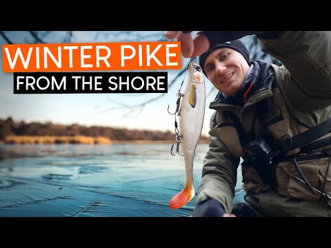 Winter PIKE fishing from the shore! When ice, fog and wind are no obstacles!