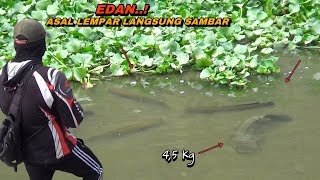 Download lagu Gak nyangka..! Mancing di sungai dangkal nemu sarang ikan gabus besar berkumpul mp3 Download lagu Gak nyangka..! Mancing di sungai dangkal nemu sarang ikan gabus besar berkumpul mp3