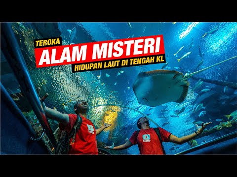 Teroka Alam Misteri Hidupan Laut di tengah Kuala Lumpur! Aquaria KLCC