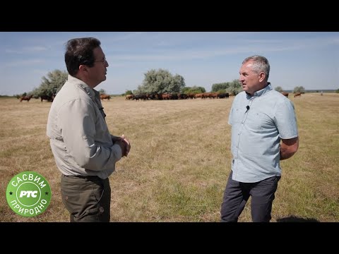 Sasvim prirodno: Srpski Angus (Jovan Memedović)