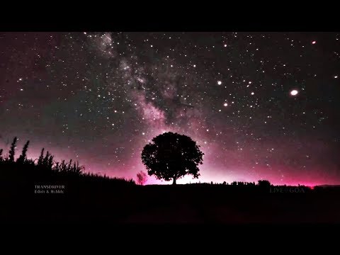 TRANSDRIVER - Edrit & Hubble