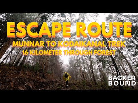 ESCAPE ROUTE - MUNNAR TO KODAIKANAL TREK | 16 KM IN FOREST | BACKER BOUND | Prod. VIBHOR BEATS |
