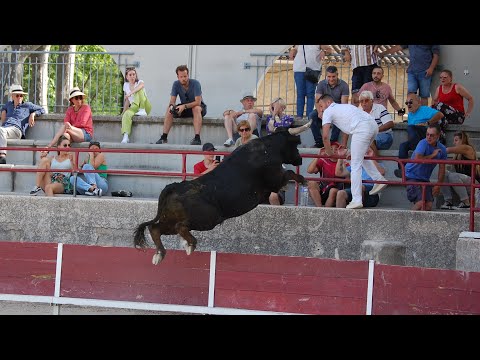 PELISSANNE COURSE DE LIGUE 17.06.22