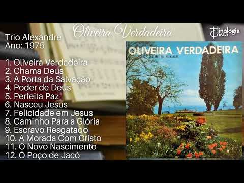 LP "OLIVEIRA VERDADEIRA" - TRIO ALEXANDRE [GRAVADORA ESTRELA DA MANHÃ] 1975