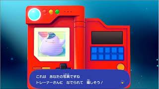 ぽこあポケモン(switch２初配信)