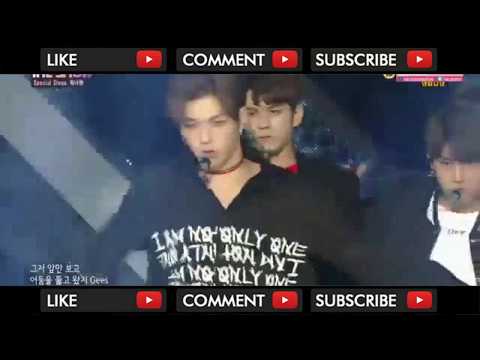 [Live Performance]] Wanna One (워너원) - Burn It Up (활활) @The Show