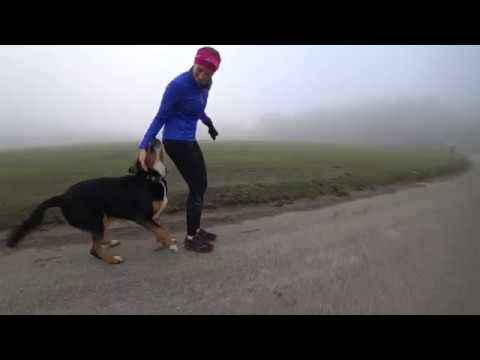 2017 12 Weihnachten  - Lauf in Embrach (noch bevor sich die Sonne  zeigte für 5 Minuten)