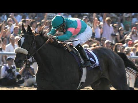 My Reaction To Zenyatta Greatest Race Horse Of All Time! Montage - All 19 Wins