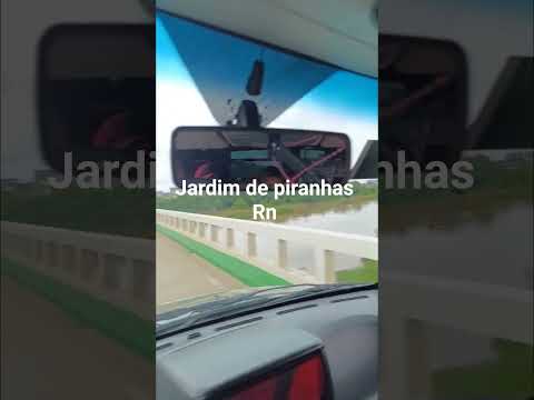 Rio Piranhas .jardim de Piranhas RN #chuvas#Rn#nordeste#shorts