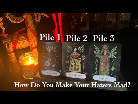 HOW DO YOU MAKE YOUR HATERS MAD? Pick a Card