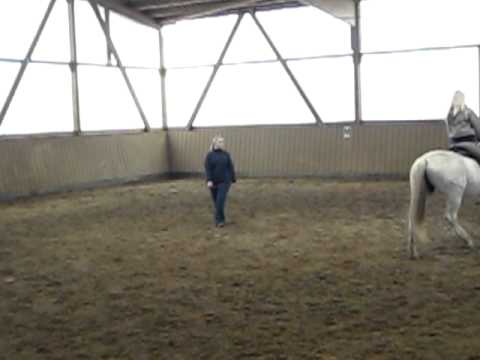 Reitstunde März '12