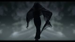DMF - Shakin Shankar (Back to Bhangra Mix)