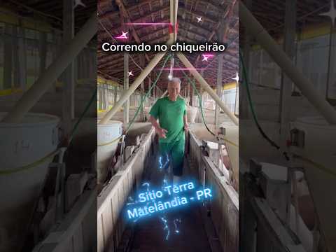 Correndo no Sítio Terra - Matelândia - PR. Da série, Correndo em lugares inusitados.