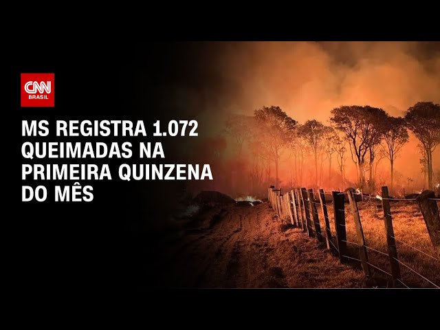 MS registra 1.072 queimadas na primeira quinzena do mês | BASTIDORES CNN