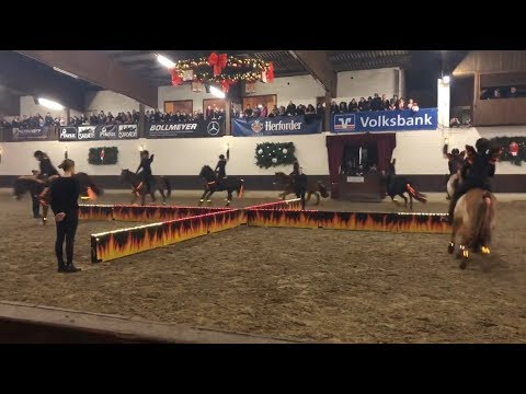 Tür 2: Das Ponyshowteam auf der Gala in Herford - Adventskalender 2018
