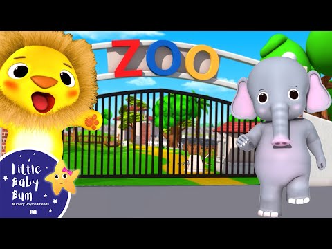 Zoo Song | Nursery Rhymes and Kids Songs | Little Baby Bum