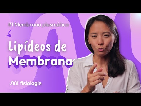 [#1] MEMBRANA PLASMÁTICA: LIPÍDEOS DE MEMBRANA | MK Fisiologia