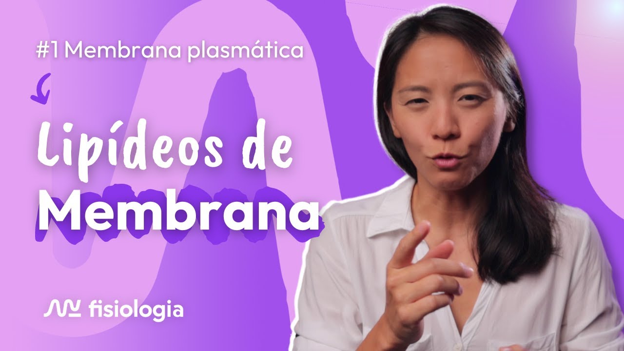 #1 MEMBRANA PLASMÁTICA: LIPÍDEOS DE MEMBRANA | MK Fisiologia
