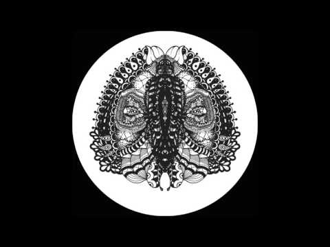 Charlton - The Quantum Complex [MT07]