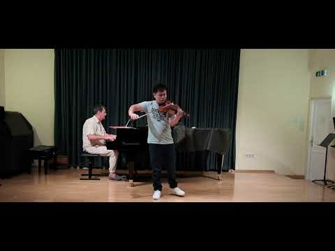 Sibelius Violine Konzert 1.Satz (1.Teil)