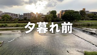 鴨川【夕暮れ前】冷泉放水口（白川放水路）付近（2025年10月2日）