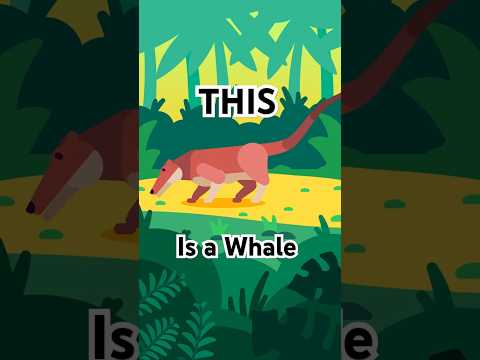 Whales Evolved from This Animal