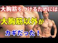 大胸筋がなかなかつかない原因。大胸筋をつけたいなら、周りが肝心!大胸筋だけをやってては不十分!