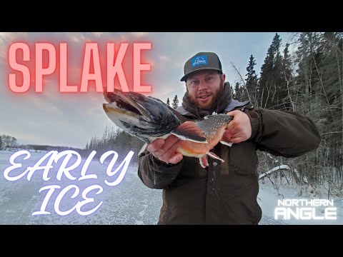Fishing for Splake Early Ice Northern Angle