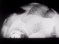 The H Bomb (1951)