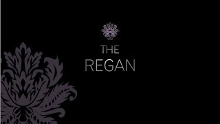 preview picture of video 'THE REGAN Luxury Estate | New Lenox IL | Skipper Denton | $1,499,000'