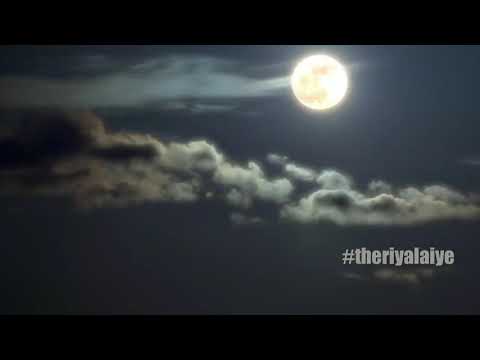 Animation 3d short hd "The itch"