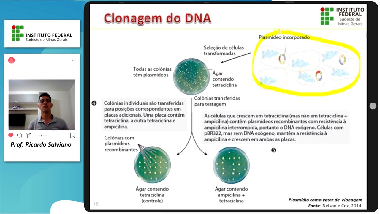 Tecnologias do DNA Recombinante - Parte IV - Clonagem Molecular