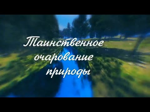 Таинственное очарование природы: о Западно-Алтайском заповеднике