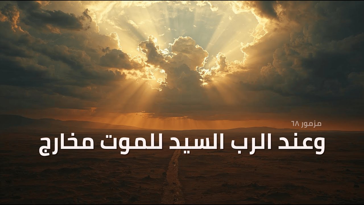 فيديو تفسير الكتاب المقدس | الكتاب المقدس رفيقي